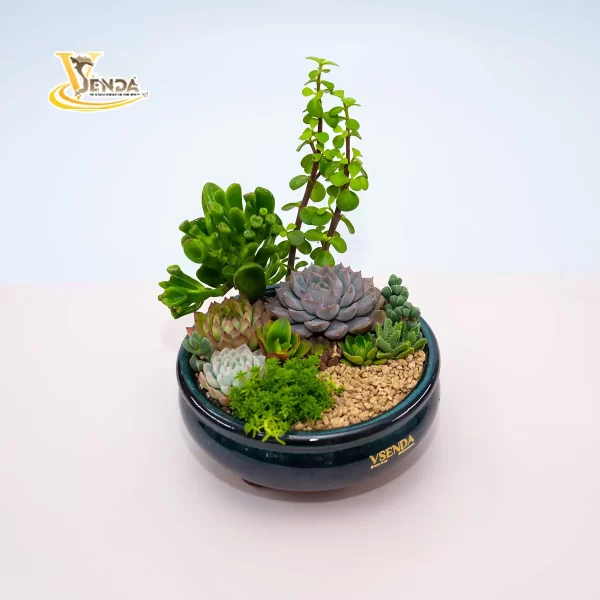 Tứ phương - Hình ảnh 3