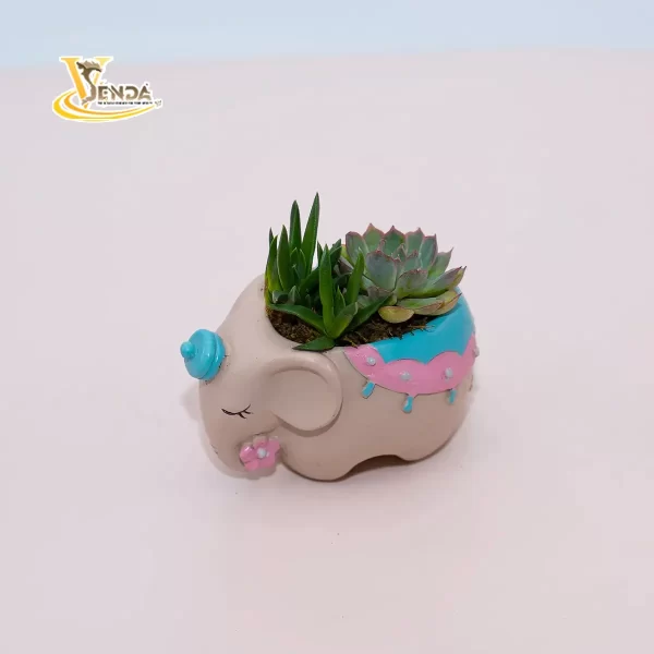 Voi con Bản Đôn - Hình ảnh 3