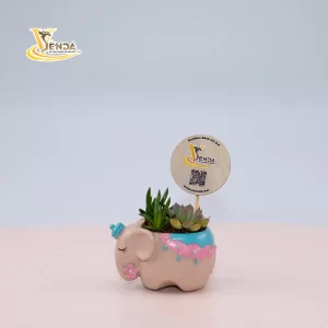 Voi con Bản Đôn