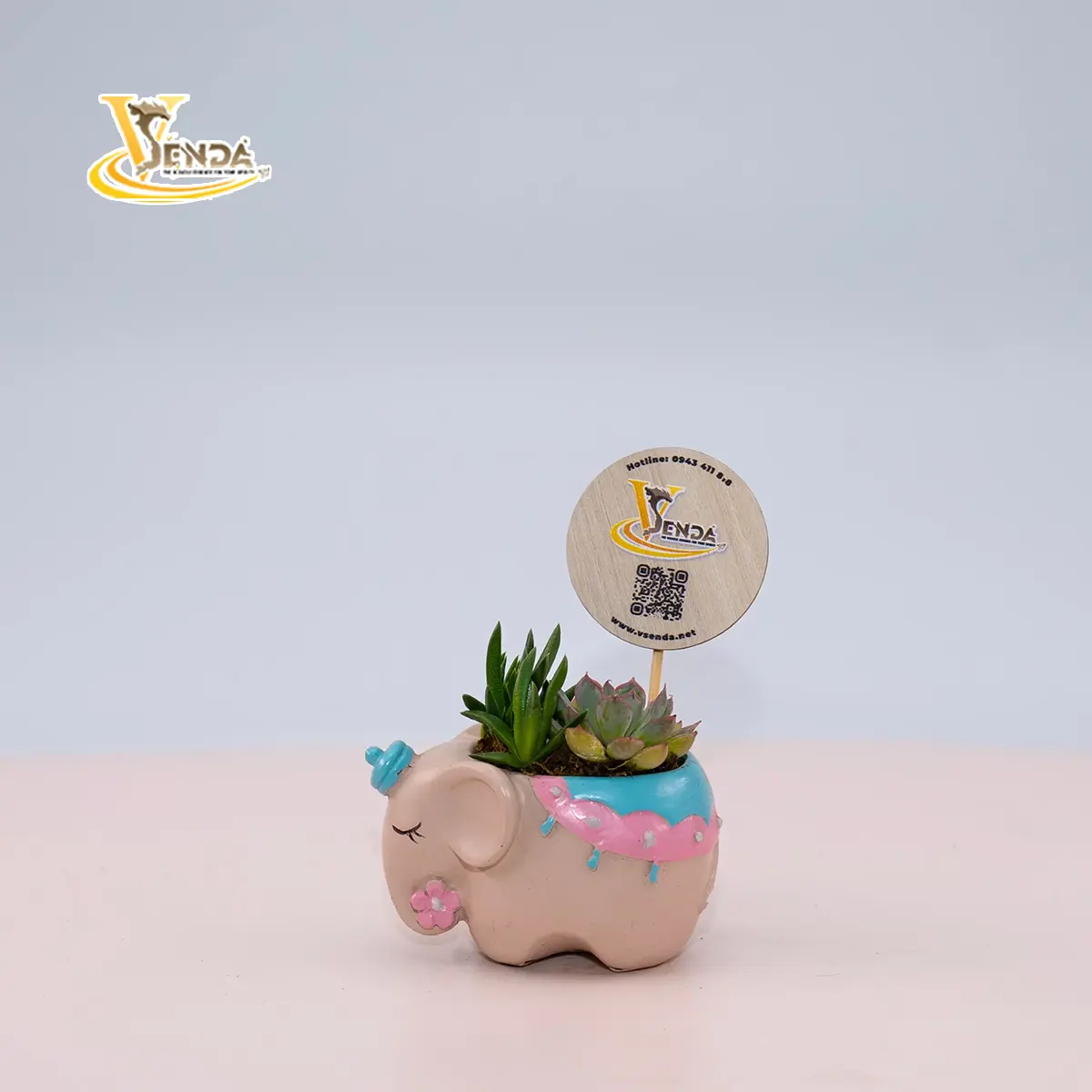Voi con Bản Đôn
