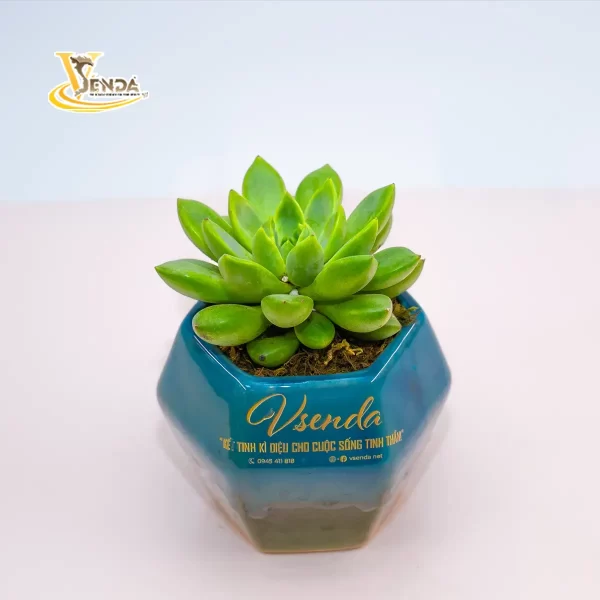 Thời đại mới - Hình ảnh 3