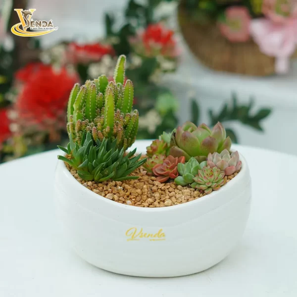 Thỏi vàng - Hình ảnh 3