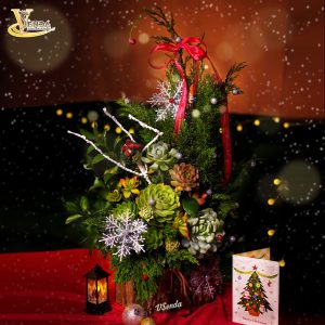 Happy Christmas