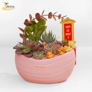 Khởi Đầu Vạn Như Ý