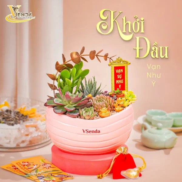 Khởi Đầu Vạn Như Ý - Hình ảnh 3
