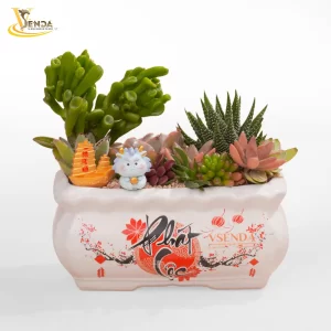Mừng Tuổi Đắc Lộc Thọ