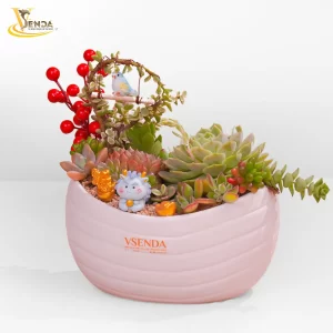 Tâm Tình Phúc Gửi Trao