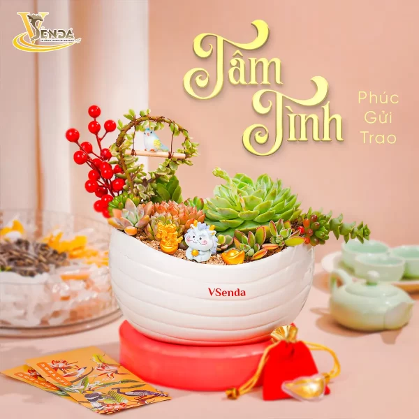 Tâm Tình Phúc Gửi Trao - Hình ảnh 2