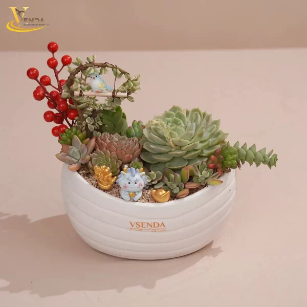 Tâm Tình Phúc Gửi Trao - Hình ảnh 4