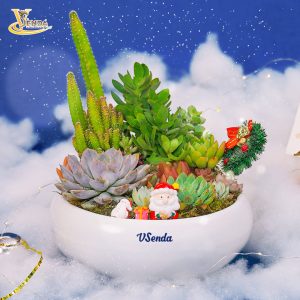 Món quà Noel