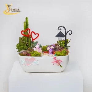 Say nắng