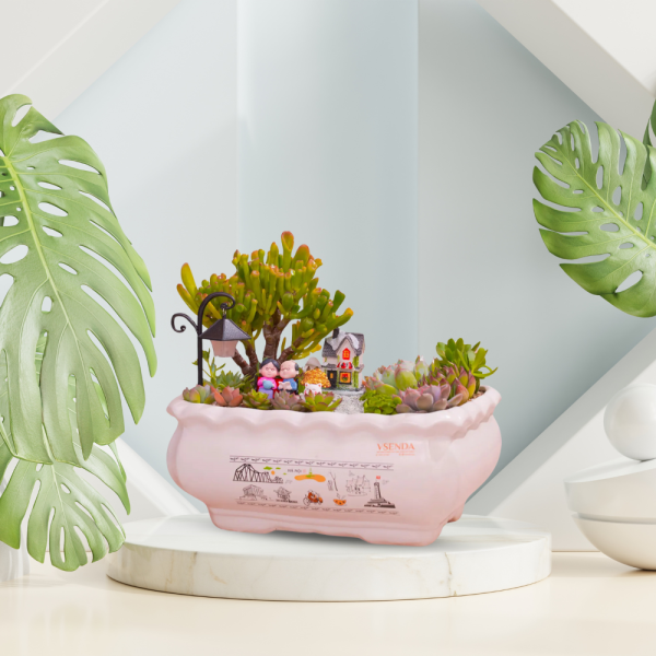 Sen Đá Tiểu Cảnh Sum vầy