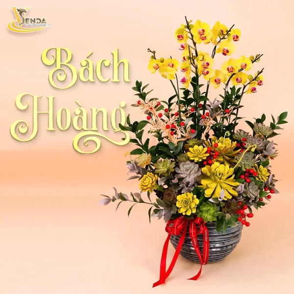 Bách Hoàng - Hình ảnh 3