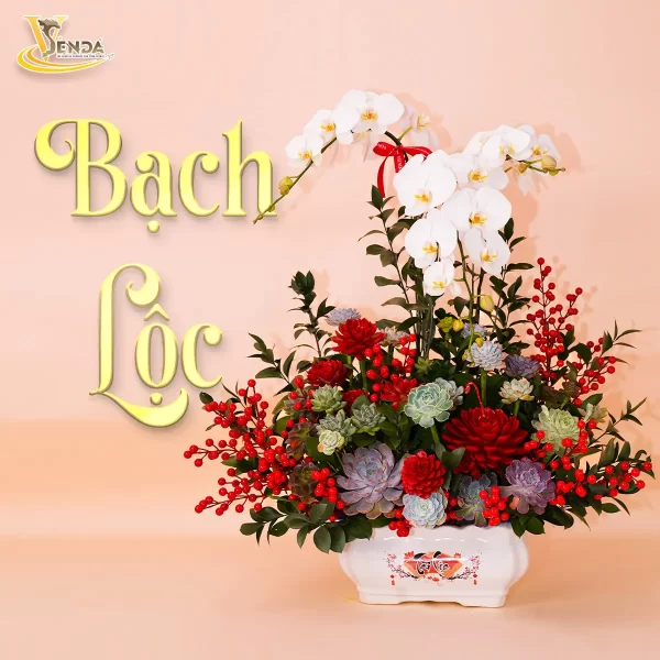 Bạch Lộc - Hình ảnh 3