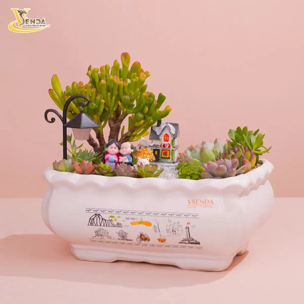 Sen Đá Tiểu Cảnh Sum vầy - Hình ảnh 2