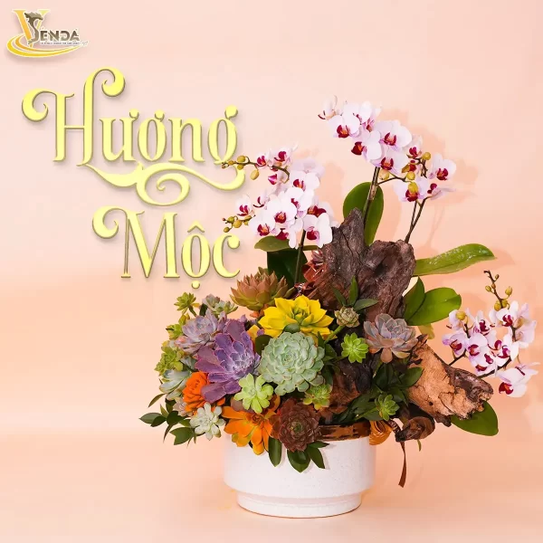 Hương Mộc - Hình ảnh 2