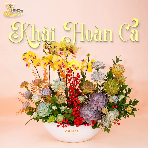 Khải Hoàn Ca - Hình ảnh 3