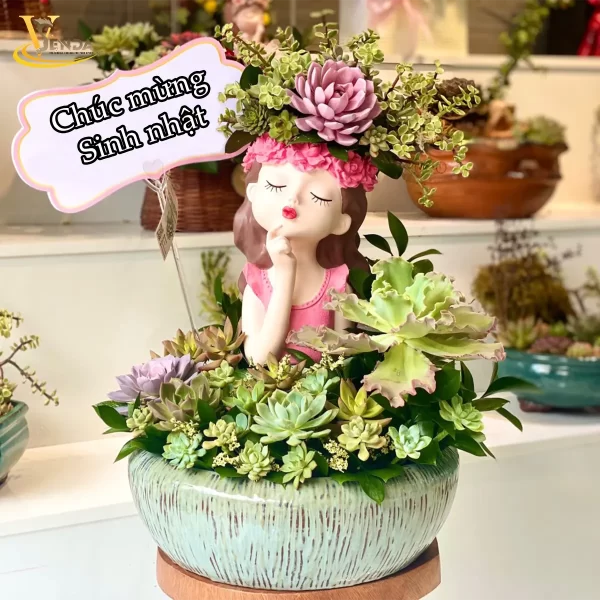 Chậu sen đá cô gái