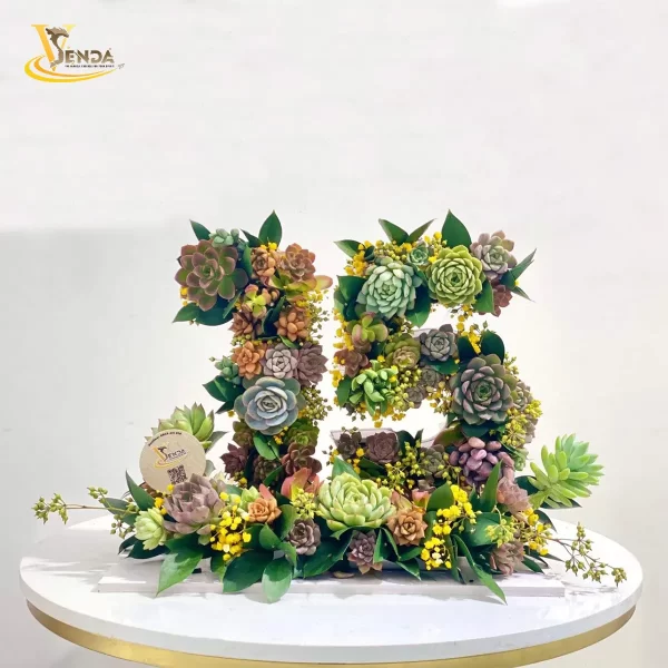 Sen đá khởi đầu - Số 15