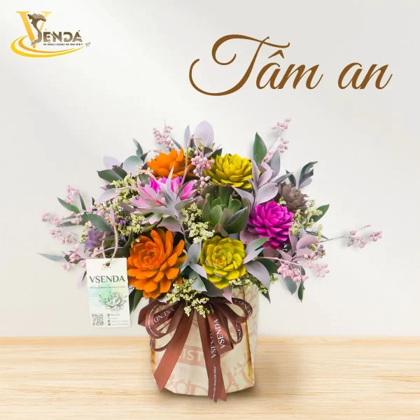 Tâm An - Hình ảnh 2