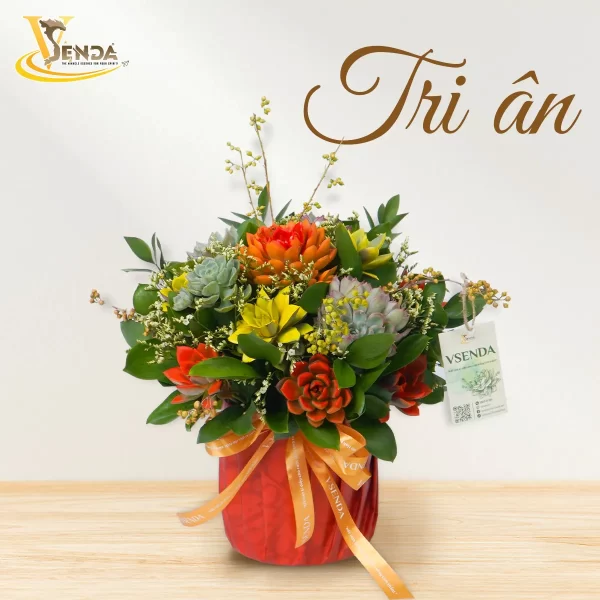 Tri Ân - Hình ảnh 2