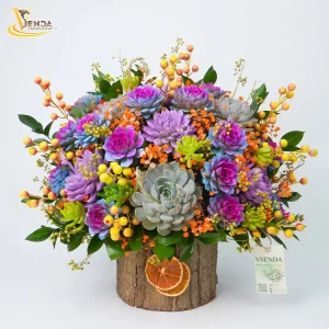 Vì Nàng - Đảm Đang
