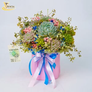 Vì nàng - Thân thiện