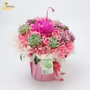 Vì Nàng - Vui Vẻ