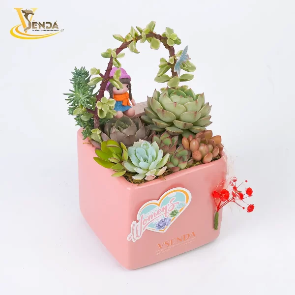 Vì Nàng - Bé Bỏng - Hình ảnh 2