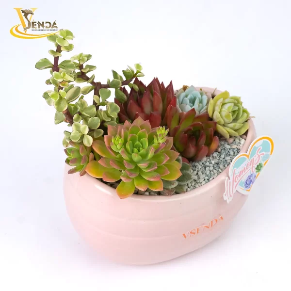 Vì Nàng - Giản Dị - Hình ảnh 3