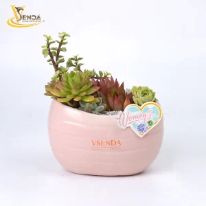 Vì Nàng - Giản Dị