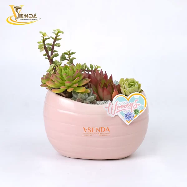 Vì Nàng - Giản Dị