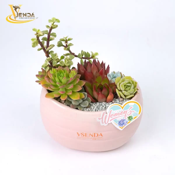 Vì Nàng - Giản Dị - Hình ảnh 2