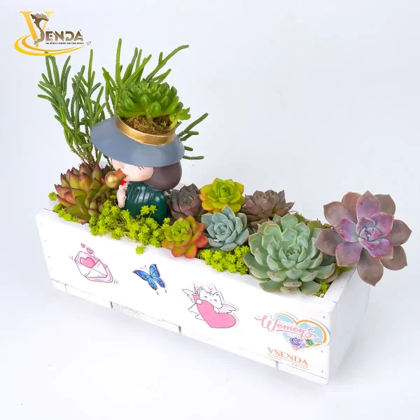 Vì nàng - Kiêu Kỳ - Hình ảnh 4