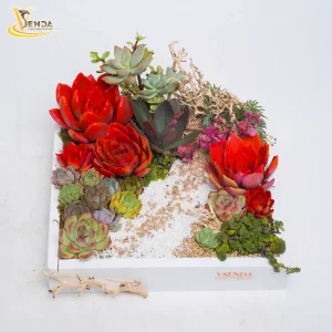 Bánh kem sen đá nắng lên rực rỡ