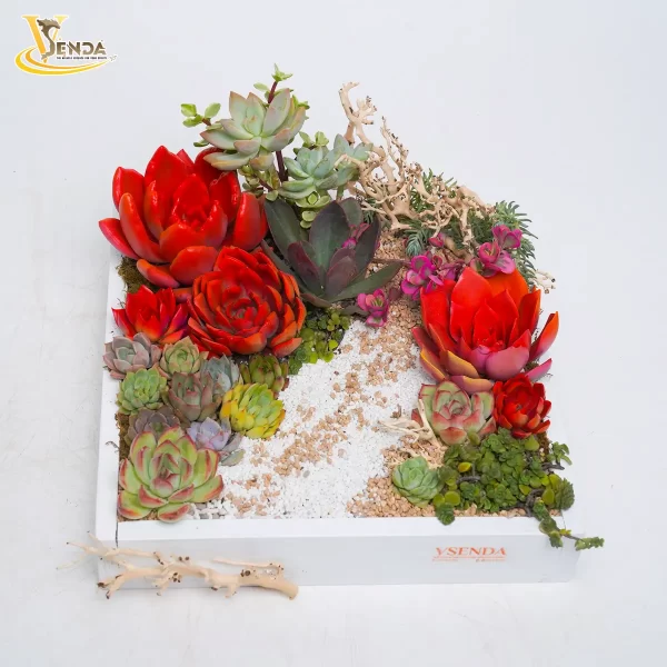 Bánh kem sen đá nắng lên rực rỡ