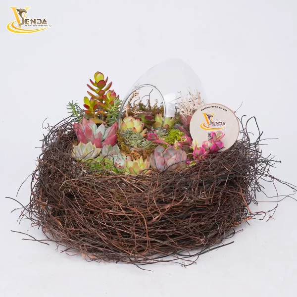 Tổ ấm hạnh phúc - Hình ảnh 2
