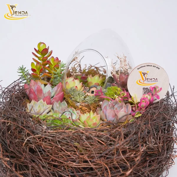 Tổ ấm hạnh phúc - Hình ảnh 3