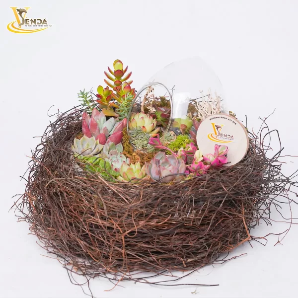 Tổ ấm hạnh phúc - Hình ảnh 4