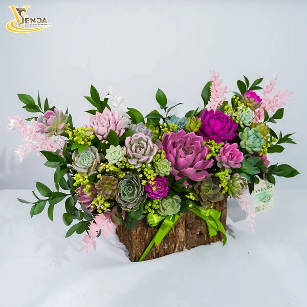 Lấp Lánh Ánh Nắng - Hình ảnh 2