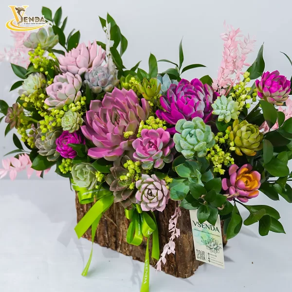 Lấp Lánh Ánh Nắng - Hình ảnh 4
