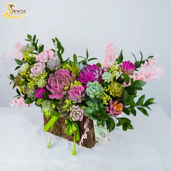 Lấp Lánh Ánh Nắng - Hình ảnh 3