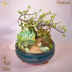 Tâm An Vô Sự