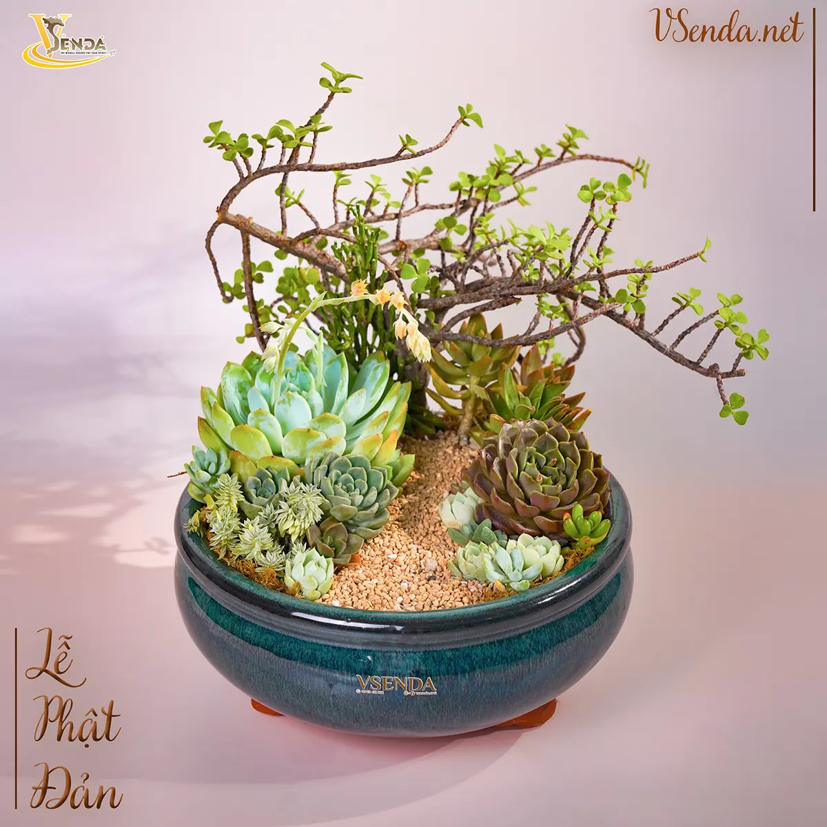 Tâm An Vô Sự
