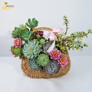 Thương Nhớ