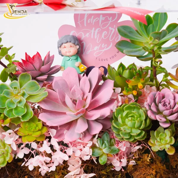 Yêu Thương Gửi Mẹ - Hình ảnh 4