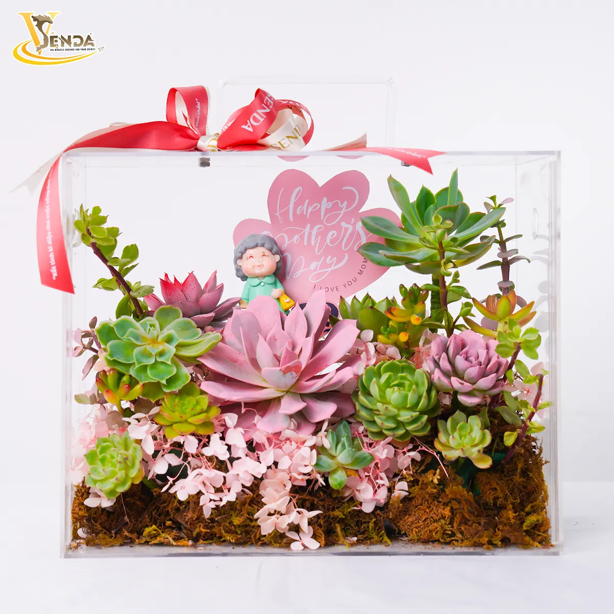 Yêu Thương Gửi Mẹ