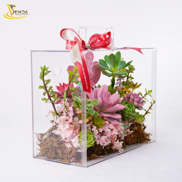 Yêu Thương Gửi Mẹ - Hình ảnh 5
