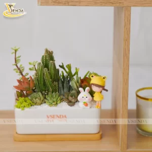 Chậu Sen Đá Mảnh Ghép Nhỏ