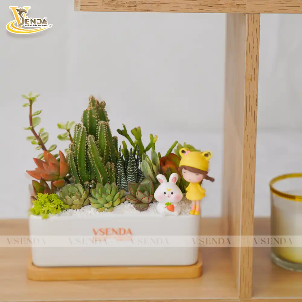 Chậu Sen Đá Mảnh Ghép Nhỏ